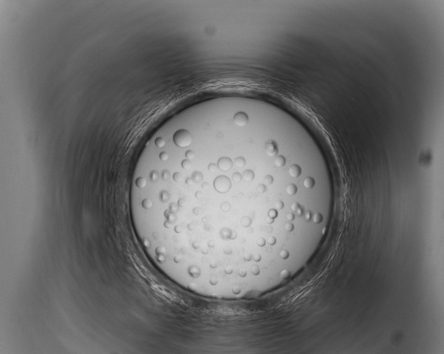 X0000116100529200911230934