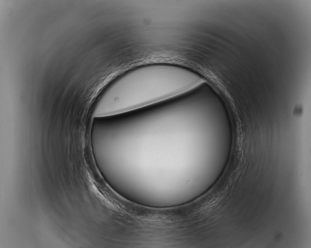 X0000116100530200911230934
