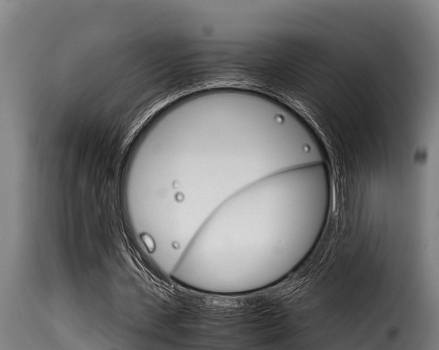 X0000116100531200911230934