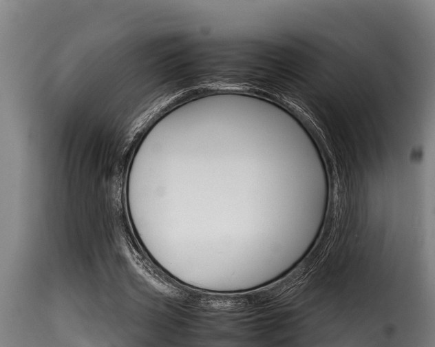 X0000116100533200911230934