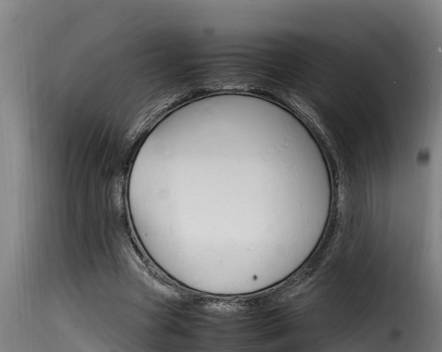 X0000116100537200911230934