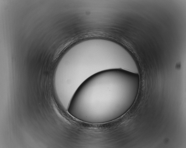 X0000116100538200911230934