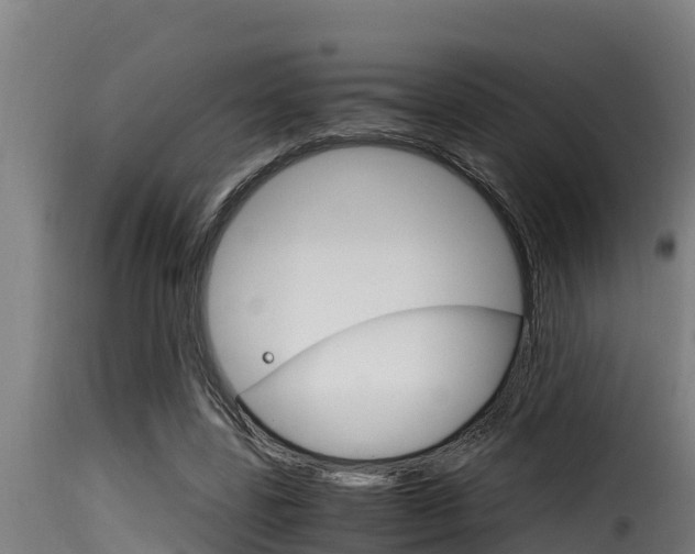 X0000116100539200911230934