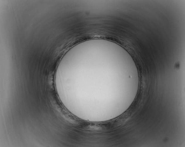 X0000116100545200911230934