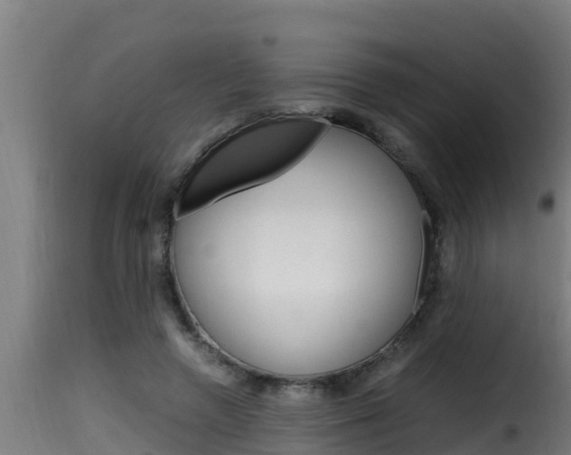 X0000116100546200911230934