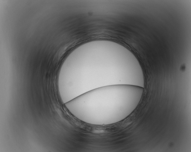 X0000116100547200911230934