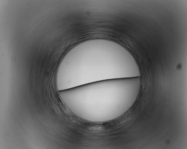 X0000116100551200911230934
