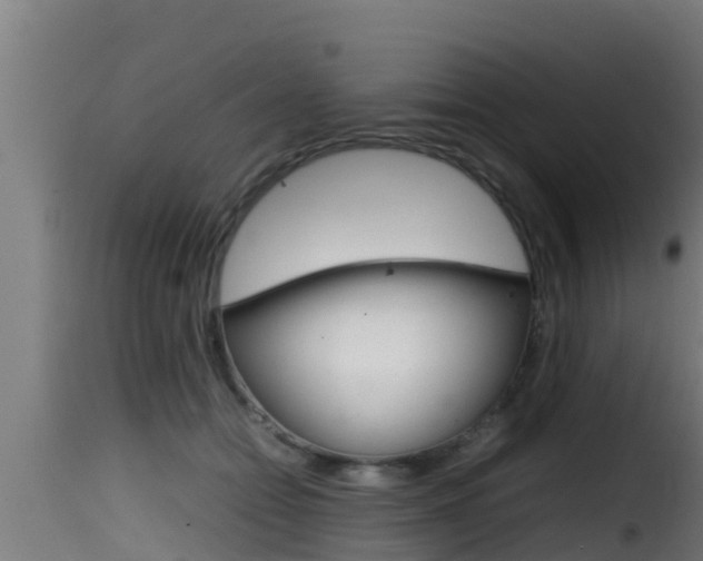 X0000116100558200911230934