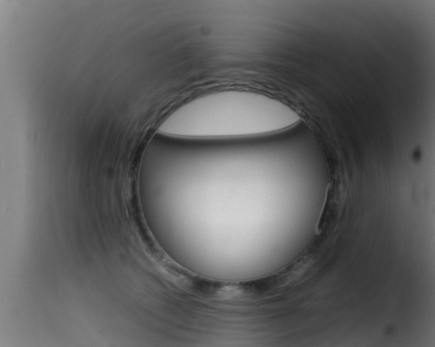 X0000116100562200911230934
