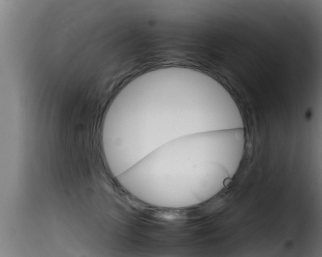 X0000116100563200911230934