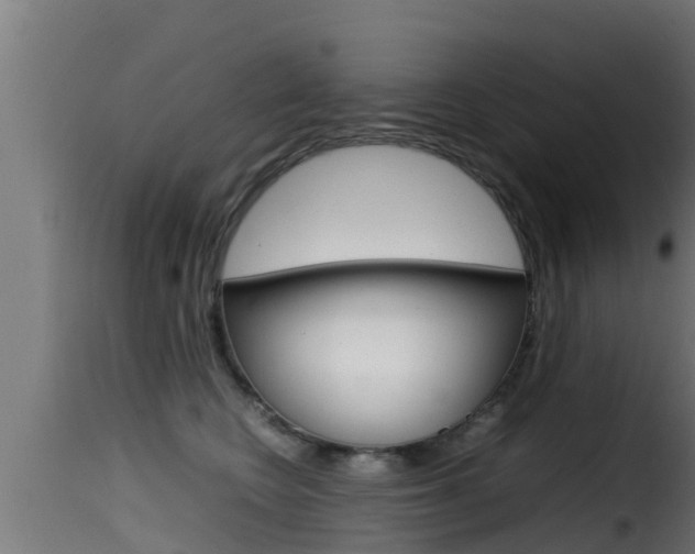 X0000116100566200911230934