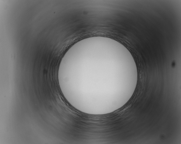 X0000116100575200911230934