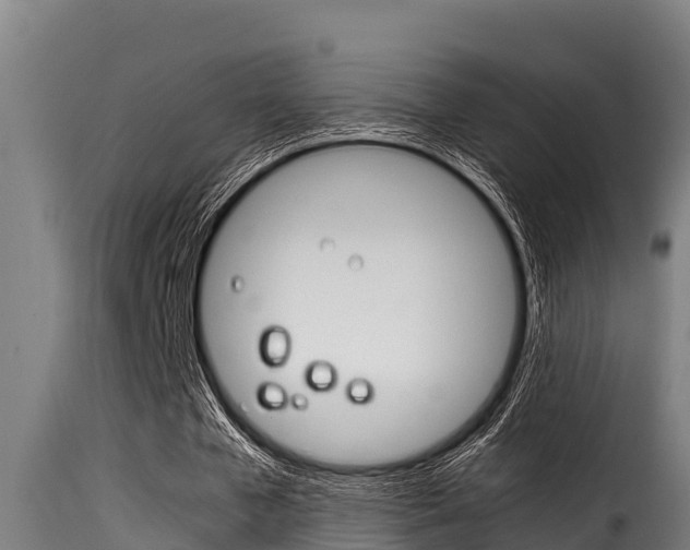X0000116100577200911230934