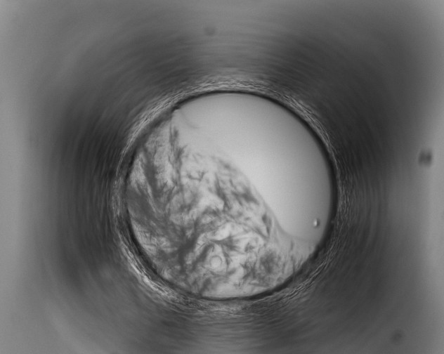 X0000116100578200911230934