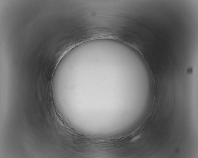 X0000116100579200911230934