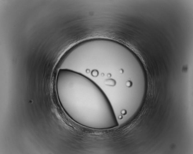 X0000116100580200911230934