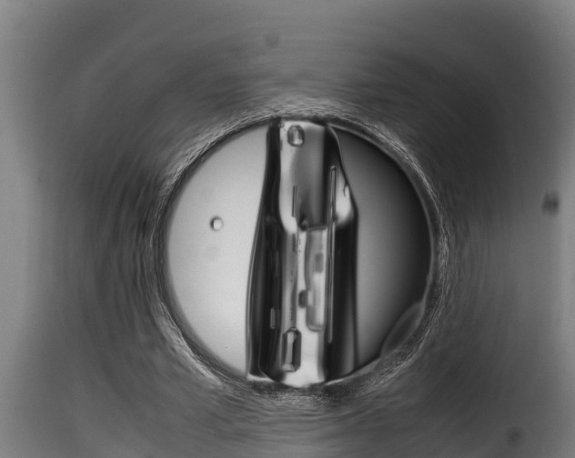 X0000116100581200911230934