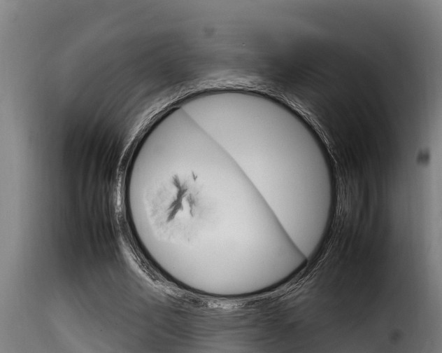 X0000116100582200911230934