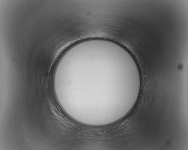 X0000116100583200911230934