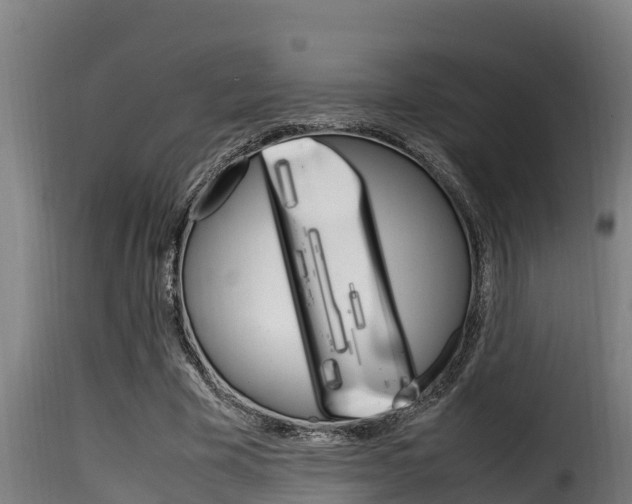X0000116100585200911230934
