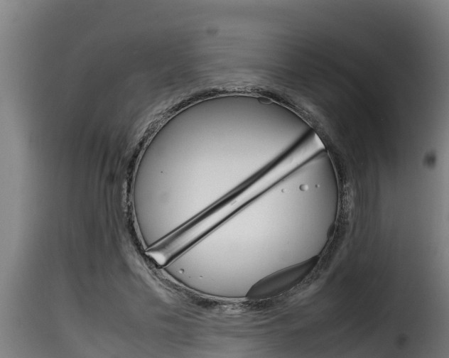 X0000116100589200911230934