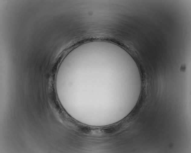 X0000116100591200911230934