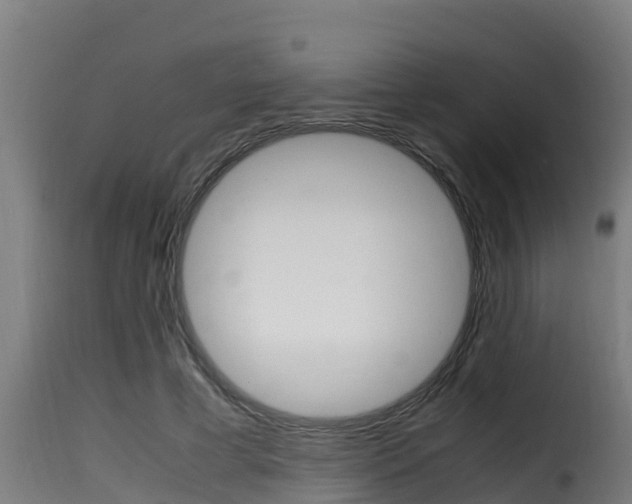 X0000116100593200911230934