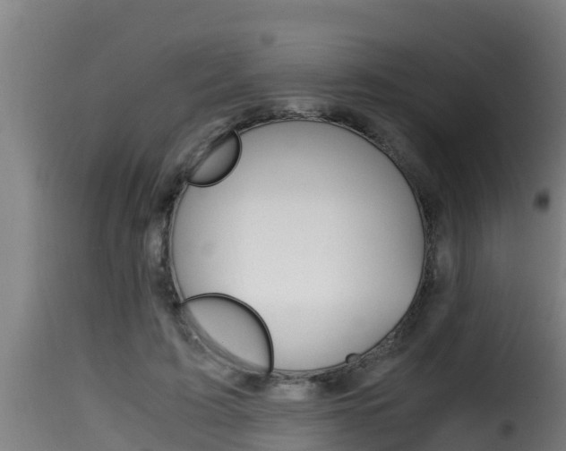 X0000116100595200911230934