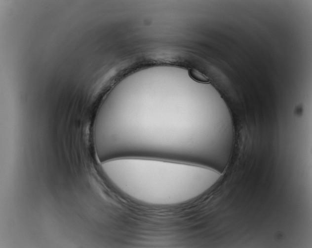 X0000116100596200911230934