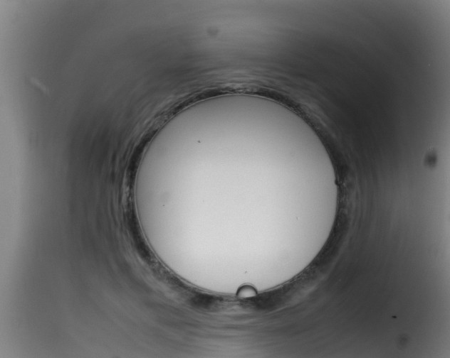 X0000116100597200911230934