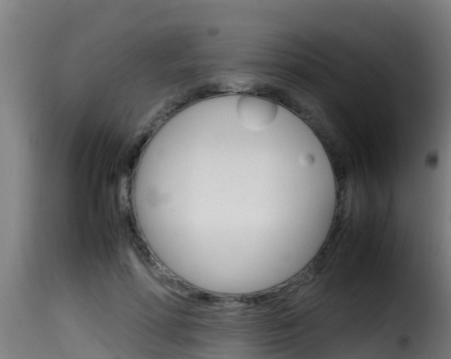 X0000116100598200911230934