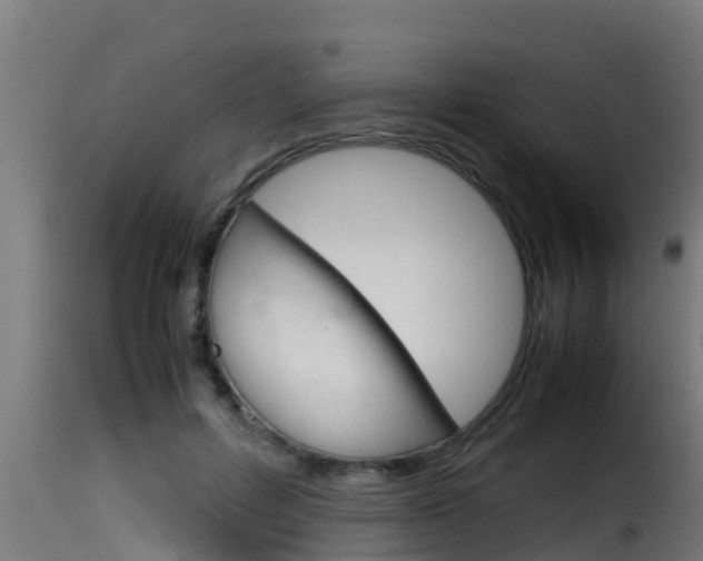 X0000116100600200911230933