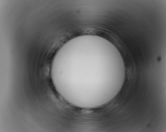 X0000116100602200911230933