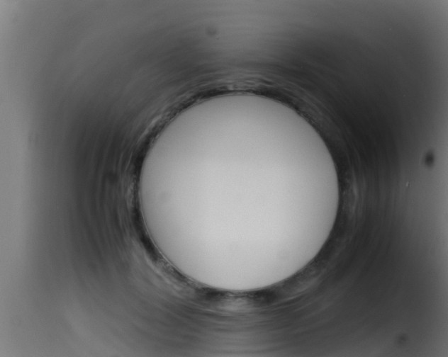 X0000116100604200911230933