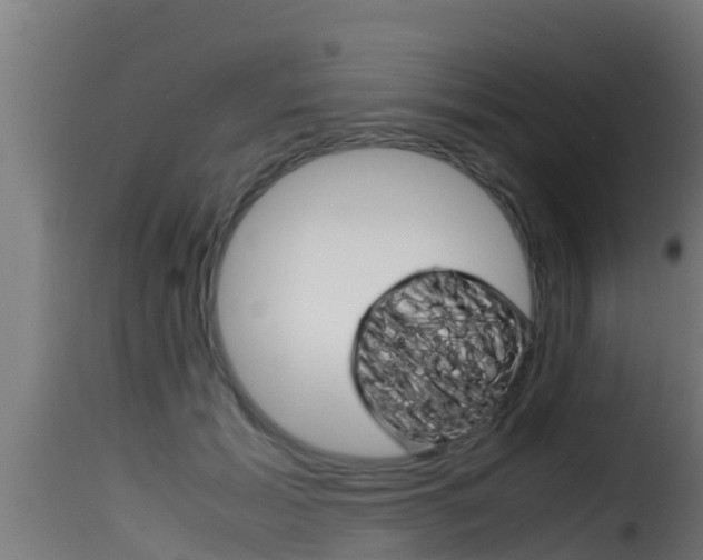 X0000116100605200911230933