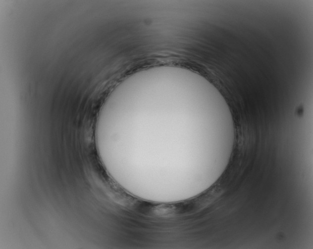 X0000116100606200911230933