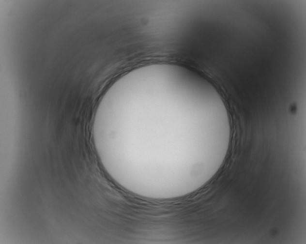 X0000116100609200911230933