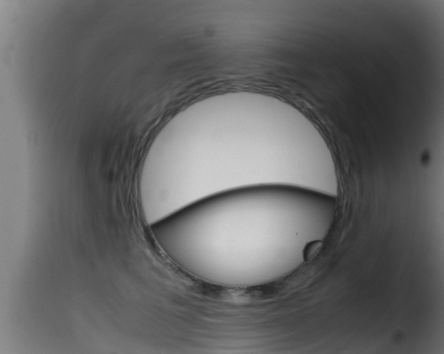X0000116100613200911230933