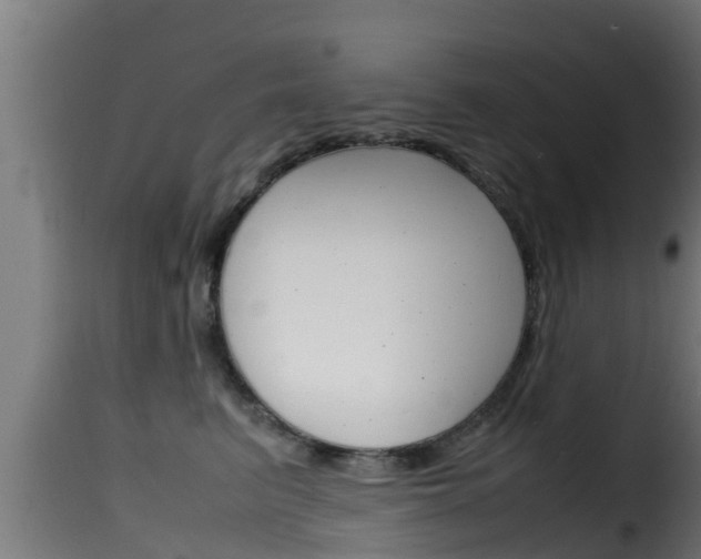 X0000116100615200911230933