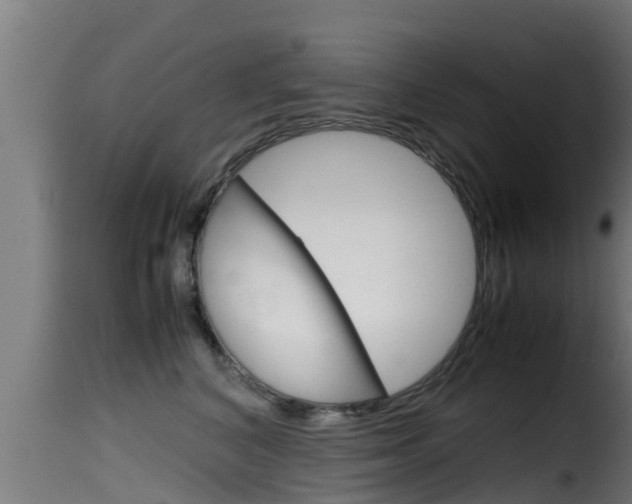 X0000116100616200911230933