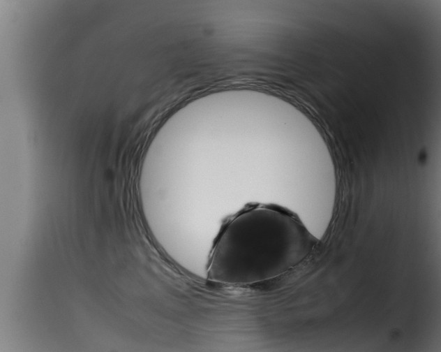 X0000116100617200911230933