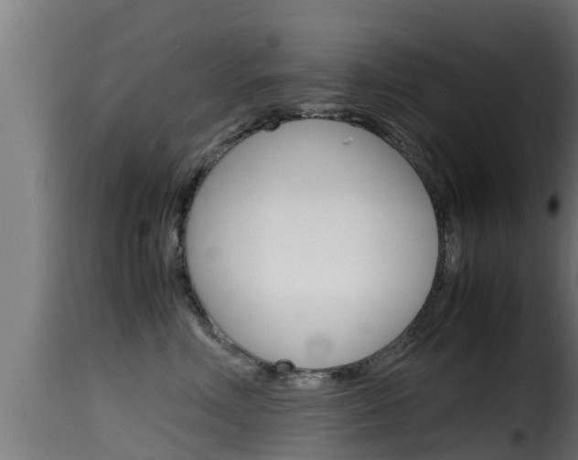 X0000116100618200911230933