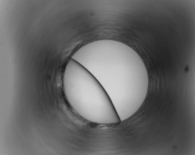 X0000116100620200911230933