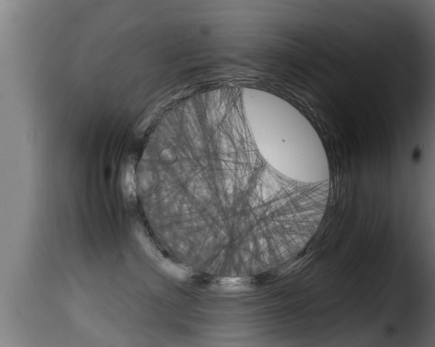 X0000116100622200911230933