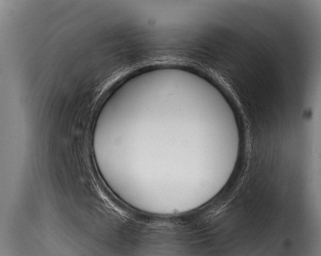 X0000116100625200911230932