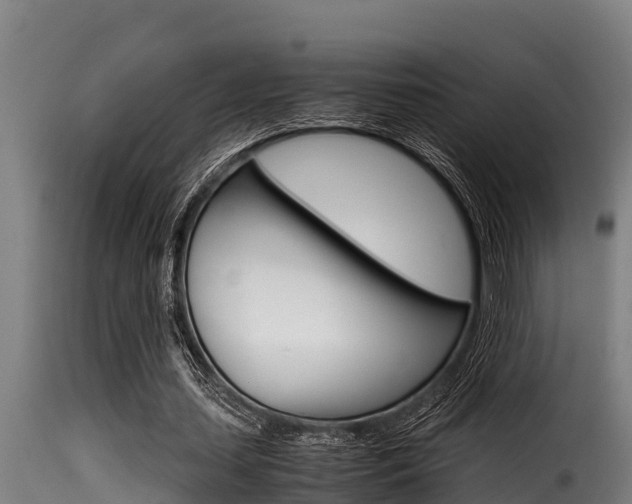 X0000116100627200911230933