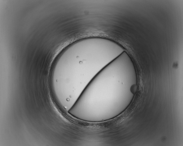 X0000116100630200911230933