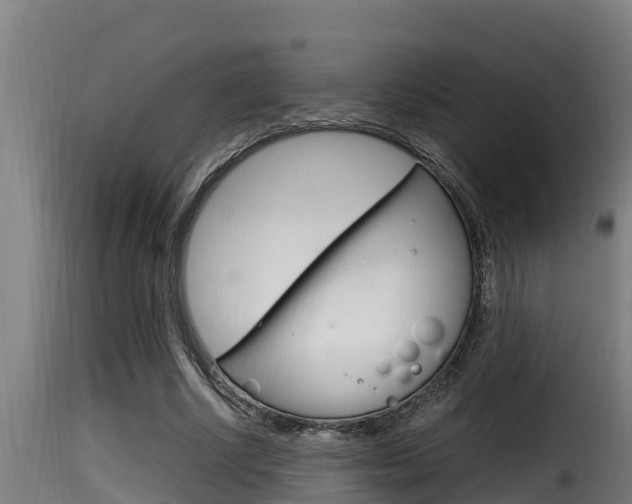 X0000116100634200911230933