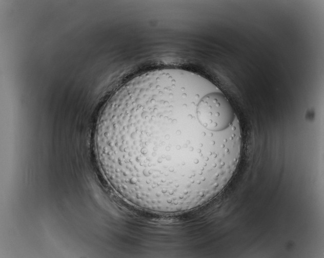 X0000116100639200911230933