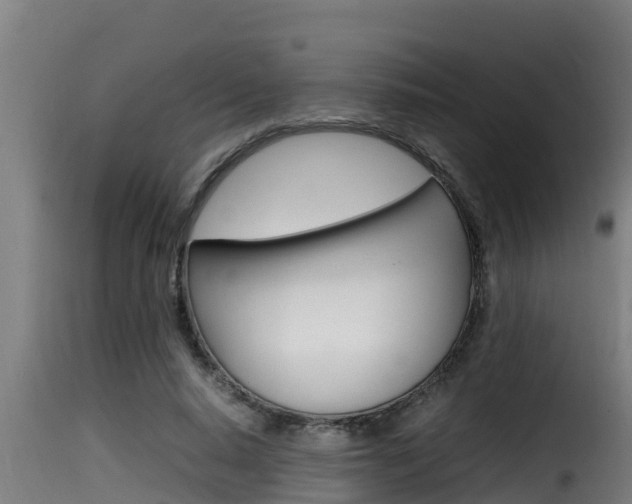 X0000116100640200911230933